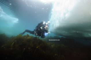 buceando en un iceberg