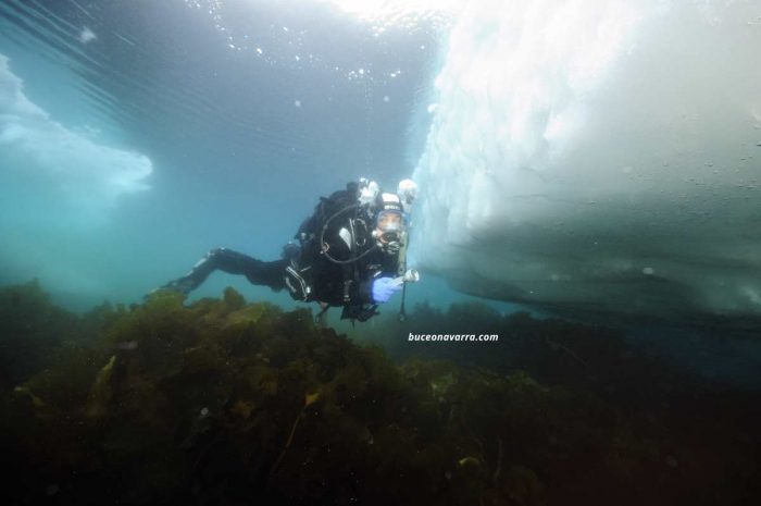 buceando en un iceberg
