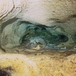 Cueva de esquelos de tortuga en Sipadán