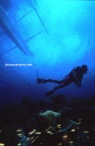 buceadora bajo la barca