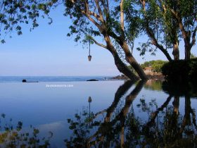 árboles reflejándose en el agua de la piscina en Bali