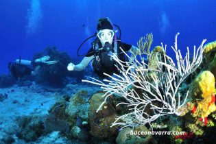 buceadora y el coral