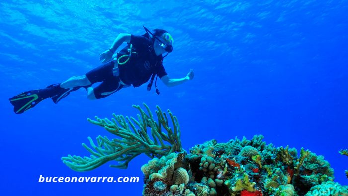 Jose Luis disfrutando del buceo caribeño
