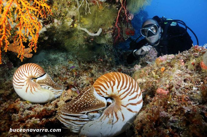 animales prehistoricos y Luis