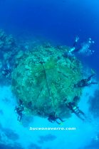 Precontinente de Cousteau