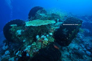 coche Toyota colonizado en Sudan