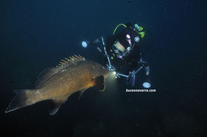 mero frente a la fotografa