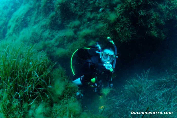 buceador sale por un agujero