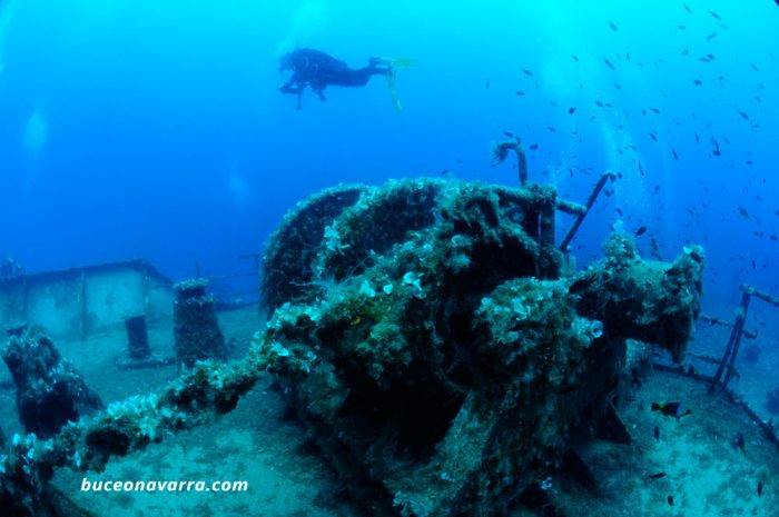 molinete del pecio Malta