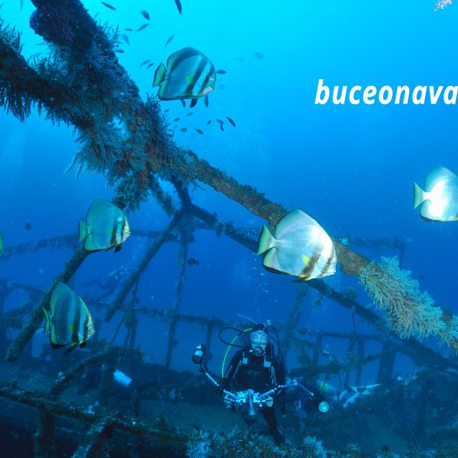 pecio de Puerto Galera