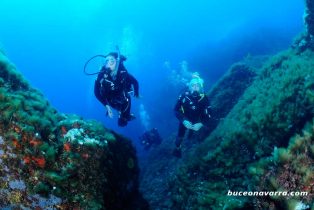 buceando padre e hija juntos
